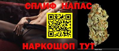 мяу мяу мука Лесосибирск